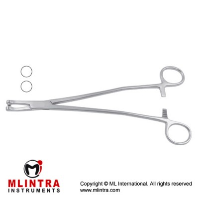 Thomas-Gaylor Biopsy Forcep Stainless Steel, 21 cm - 8 1/4" Bite Size 5.6 mm Ø Thomas-Gaylor Biopsy Forcep Stainless Steel, 21 cm - 8 1/4" Bite Size 5.6 mm Ø